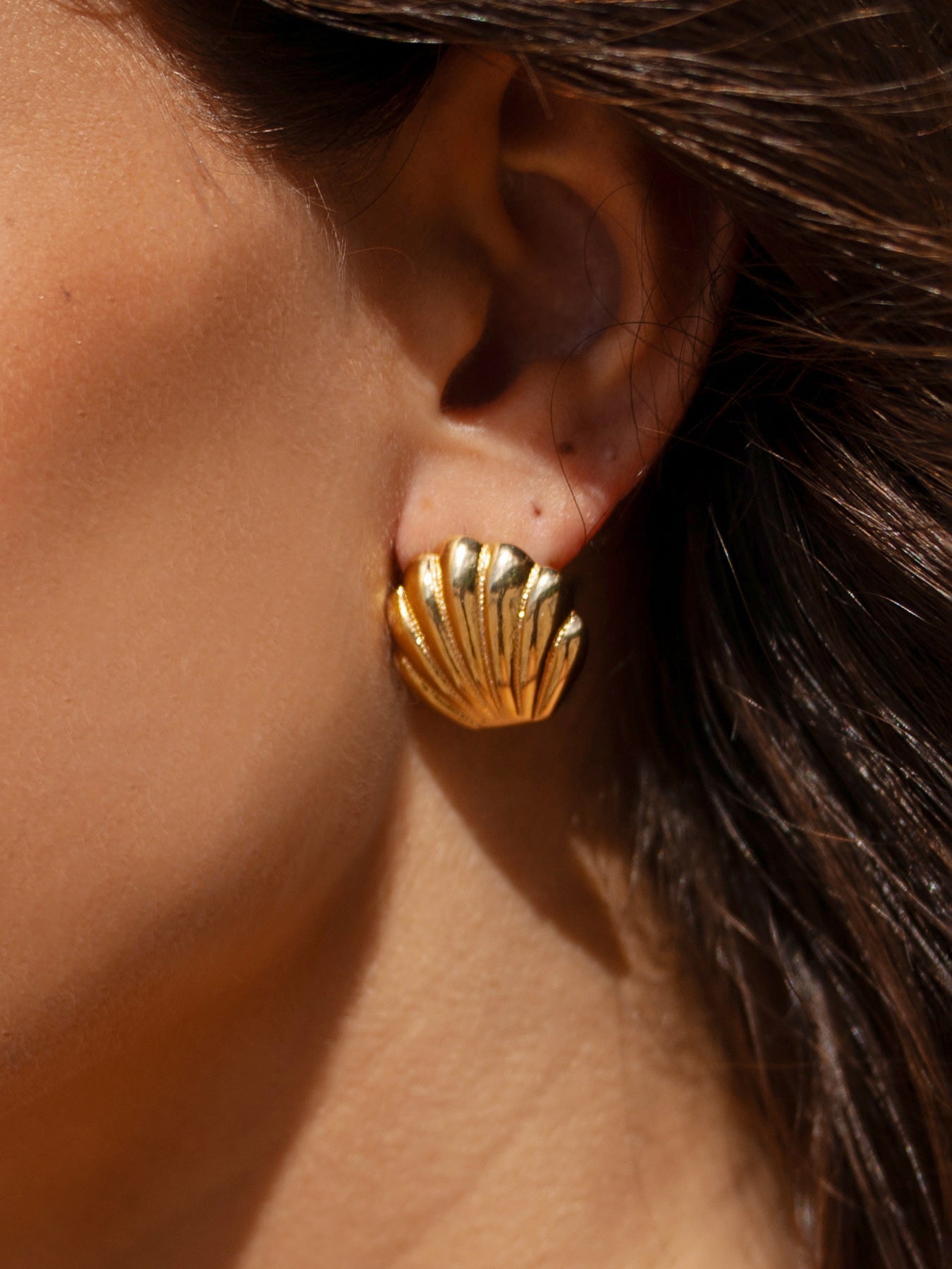 Gold Seashell Stud Earrings