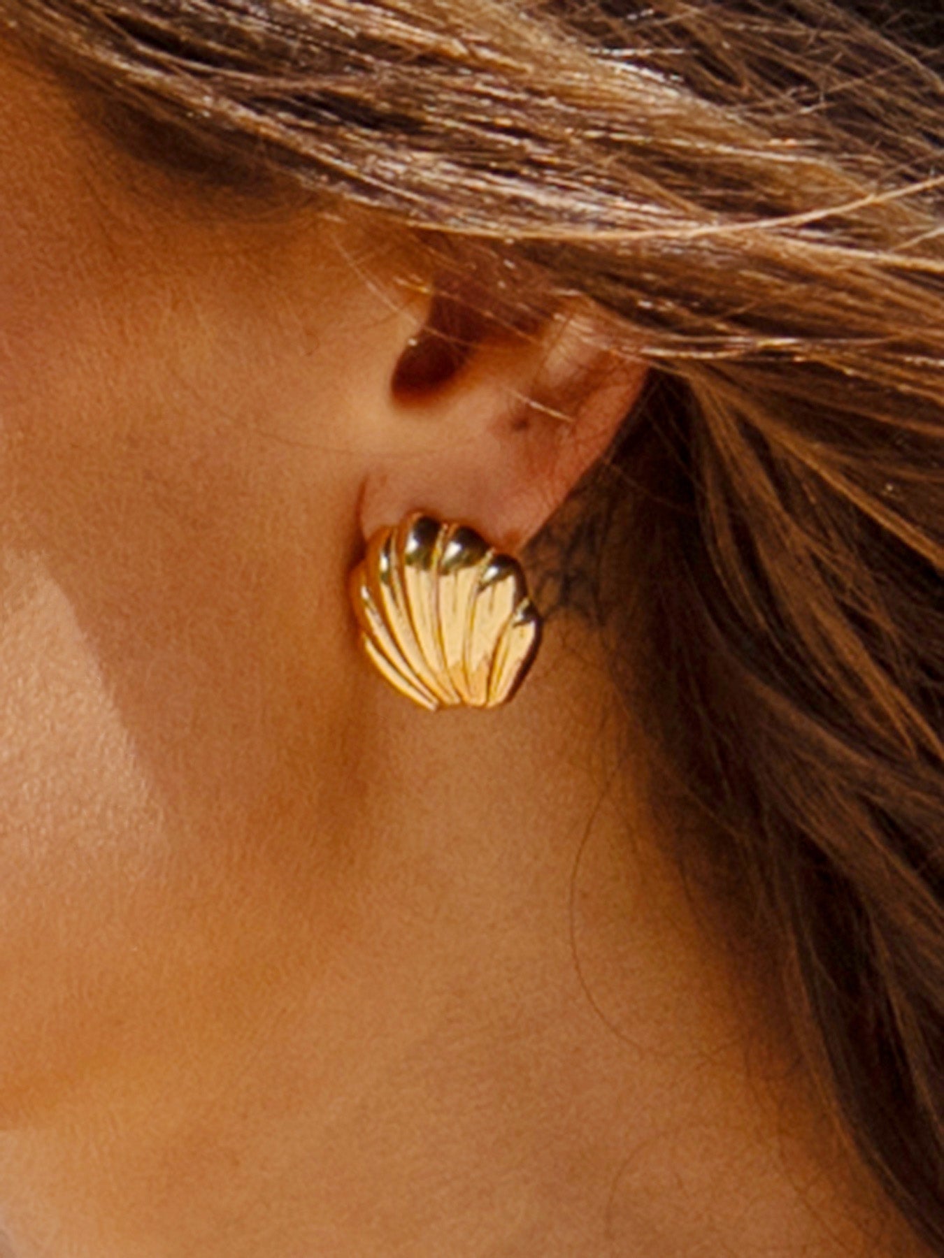 Gold Seashell Stud Earrings
