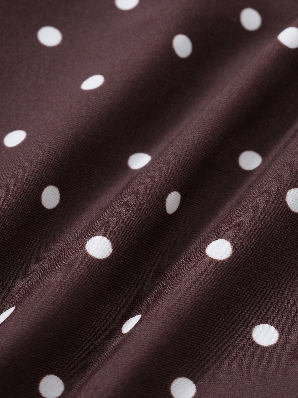 Brown Print Polka Dot Bikini Bottom