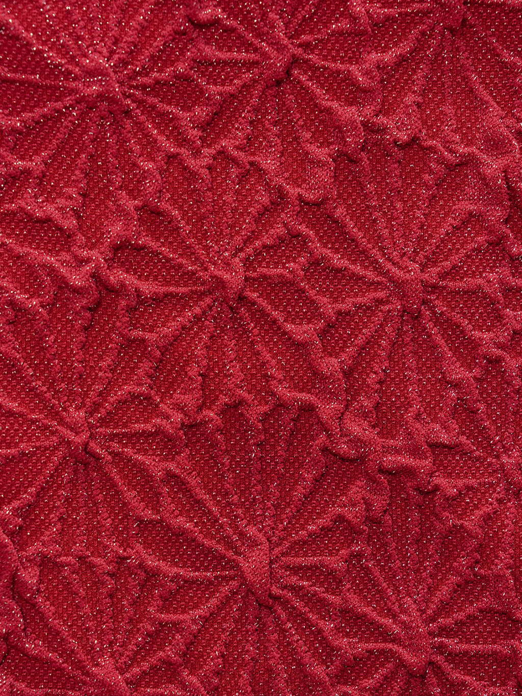 【BERLOOK X GISELLE LISBOA】Wine Red Textured Triangle Bikini Top