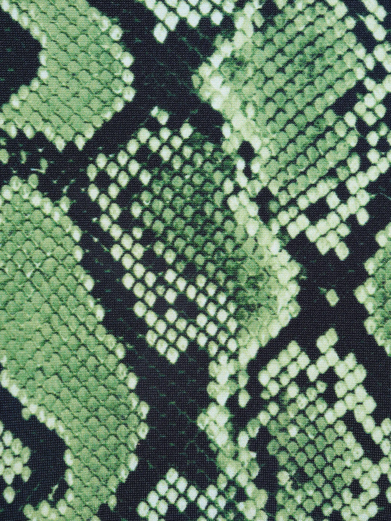 Green Snake Print Reversible Triangle Bikini Top