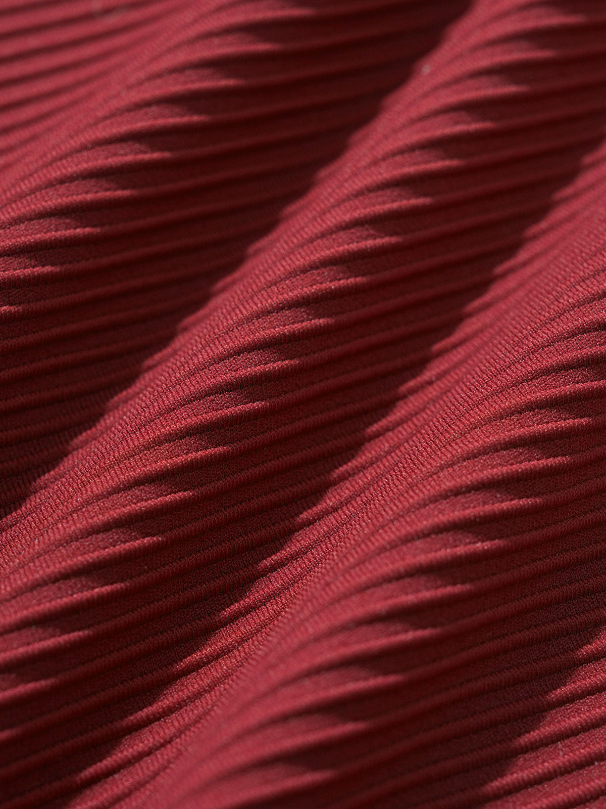 Wine Red Ribbed Natural Waisted Plus Size Bikini Bottom